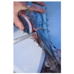 Dexter 10" Dual Edge Stiff Fillet Knife