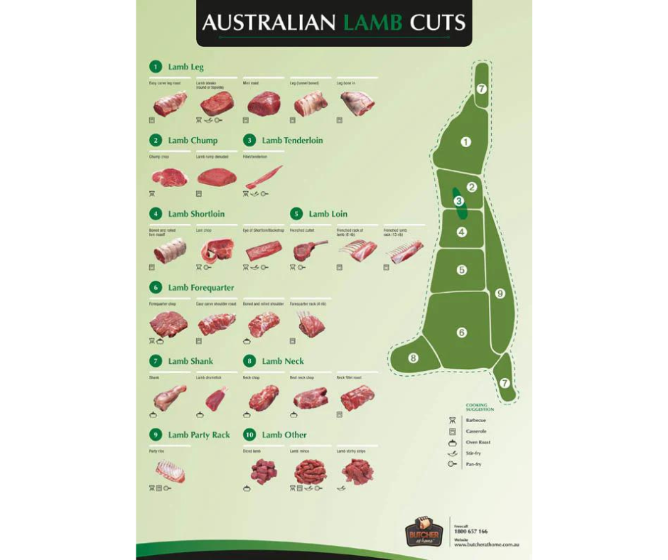 Poster LAMB