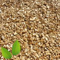 BSC Beech Wood Smoking Chips #2 - 1kg