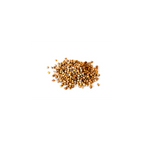 BSC Coriander Seed 250g