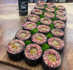 Meat Cake Press 135g