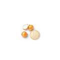 BSC Onion Powder 250g