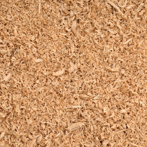 BSC Beech Wood - Sawdust
