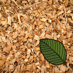BSC Alder - Smoking Wood Chips