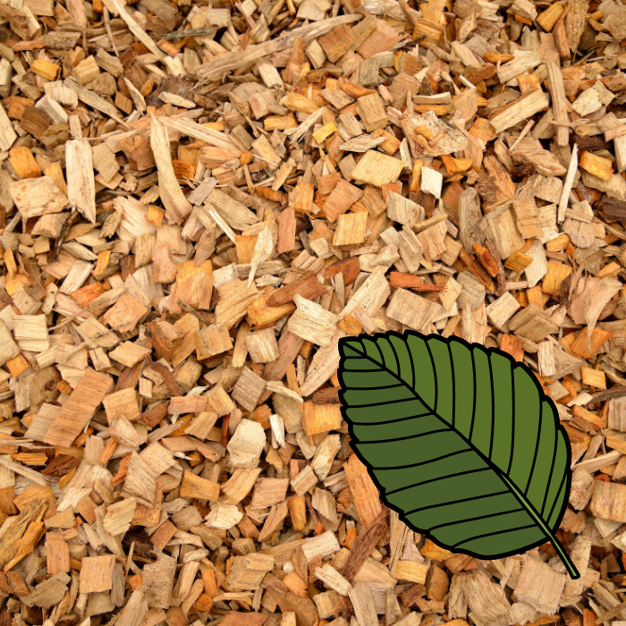 BSC Alder – Smoking Wood Chips 15kg