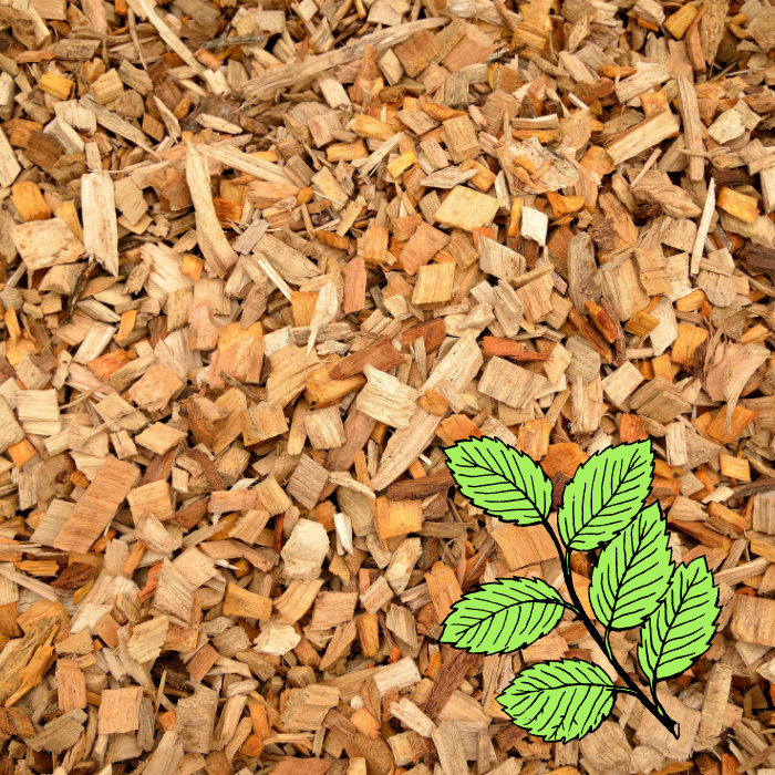 Beech Wood Smoking Chips