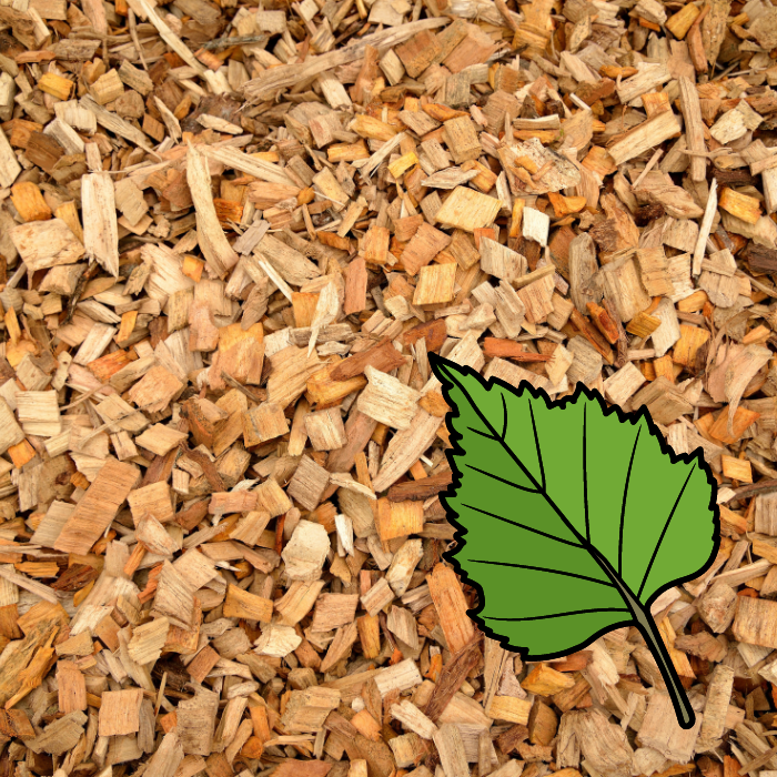 BSC Birch - Smoking Wood Chips