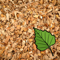 BSC Birch – Smoking Wood Chip 1kg
