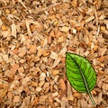 BSC Cherry - Smoking Chip 1kg