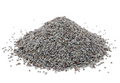 BSC Poppy Seeds 1kg