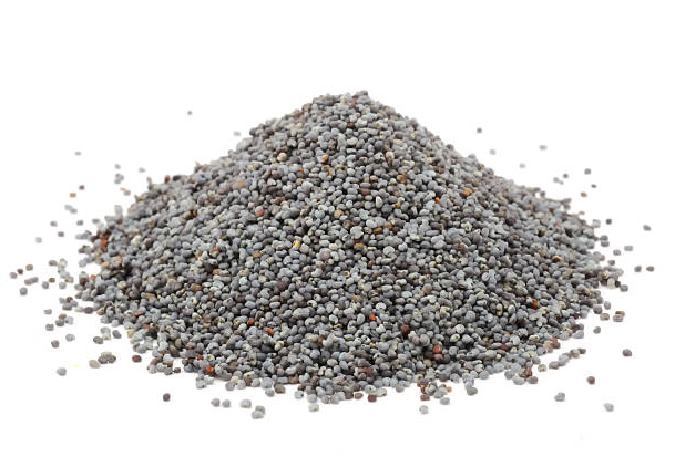BSC Poppy Seeds 1kg